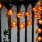 8.5FT Halloween Jack-O'-Lantern String Lights(Pumpkin String Lights)